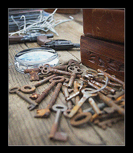 Essex Introduction to Digital Photography Training Course Essex Introduction to Digital Photography Training Course