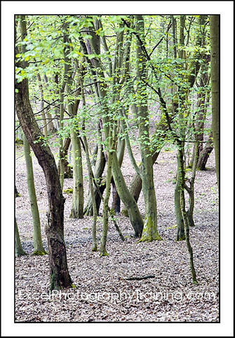 Landscape Photography Training by Excel Photography Training